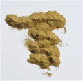 yeast powder 45% 5