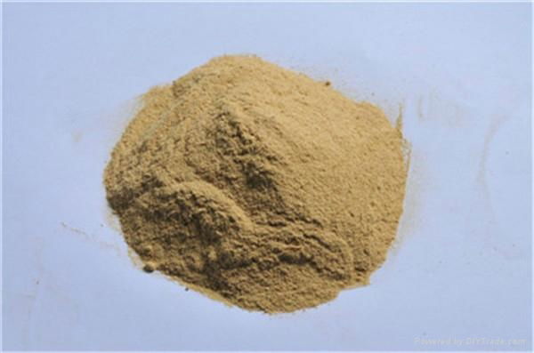 yeast powder 50% 4