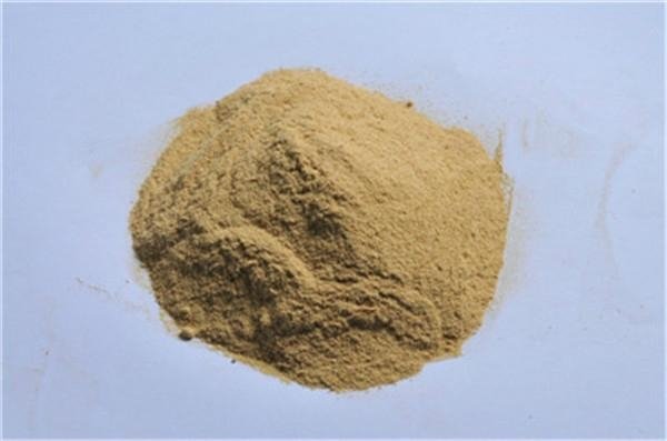 yeast powder 55% 5