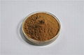 yeast powder 60% 2