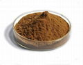 yeast powder 60% 3