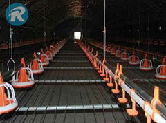 Floor breeding system with auto feeding and drinking 