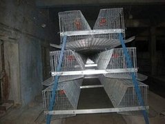 A-frame layer cage for poultry farming