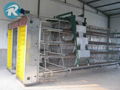 A-frame layer cage for poultry farming 5