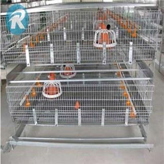 Poultry broiler cages with auto feeding system 4