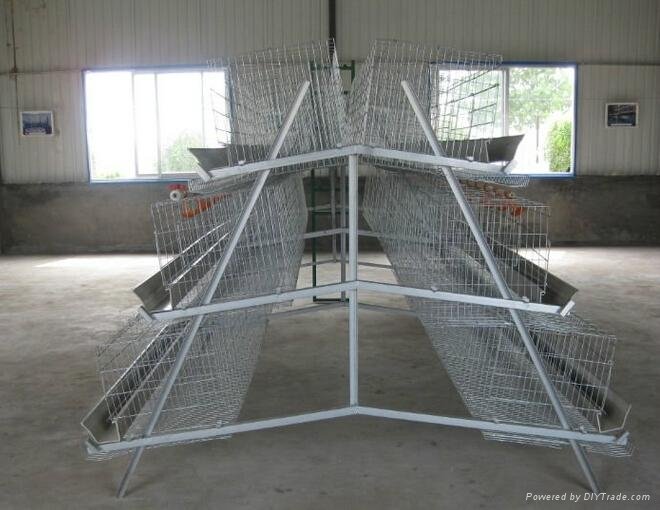 Chicken layer cage for poultry rearing farm 3