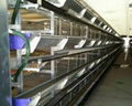 Stacked layer cage system for laying hens 2