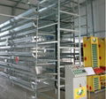 Stacked layer cage system for laying hens 4