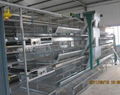 Stacked layer cage system for laying hens 5