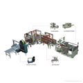 Automatic Packing Line for Carton