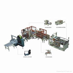 Automatic Packing Line for Carton Packing