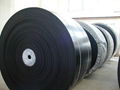 EP conveyor belts 3