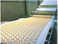 Food grade conveyor belts 2