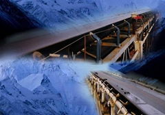 Cold resistance conveyor belts