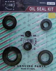 oil  seal kit