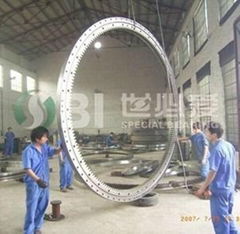 luoyangsbispecialbearing co.,ltd