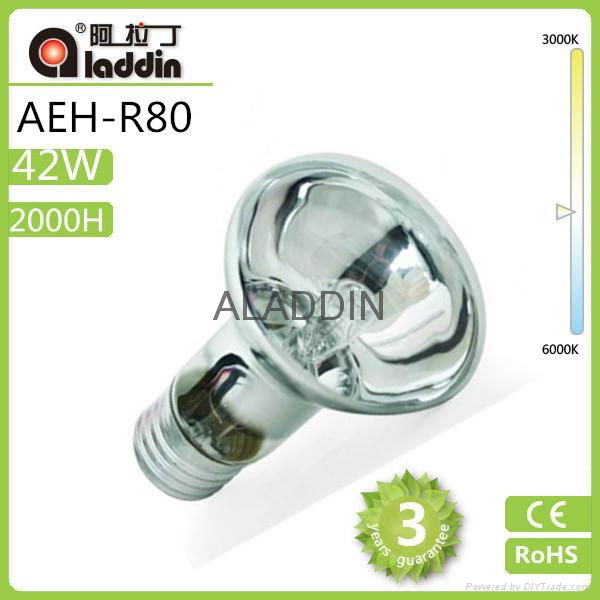R63 energy saving lamp from china factory changzhou aladdin