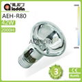 R63 energy saving lamp from china