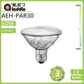 par halogen lamp from changzhou factory made in china 4