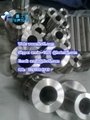 titanium & titanium alloy standard parts