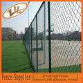 Anping zhonghao Chain Link Fence 3