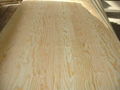 100% pine plywood 2