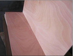 High quality okoume plywood for