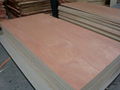 High quality okoume plywood for furniture 3