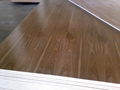 High quality Veneered  MDF 1