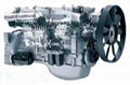 SINOTRUK HOWO original  Euro Diesel Engine (WP10)  1