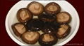 Canned Shiitake Mushroom 3