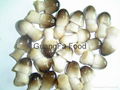 Canned Straw Mushroom 2