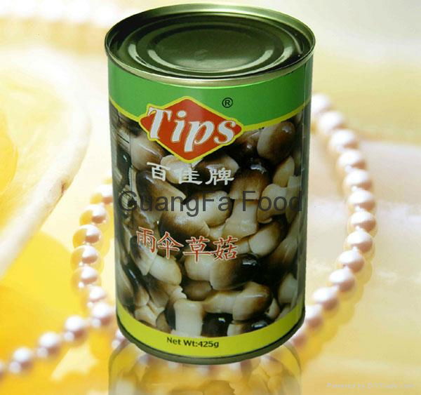 Canned Straw Mushroom 4