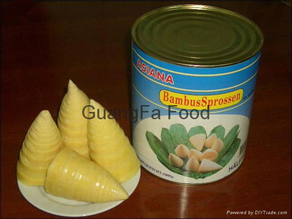canned bamboo shoot