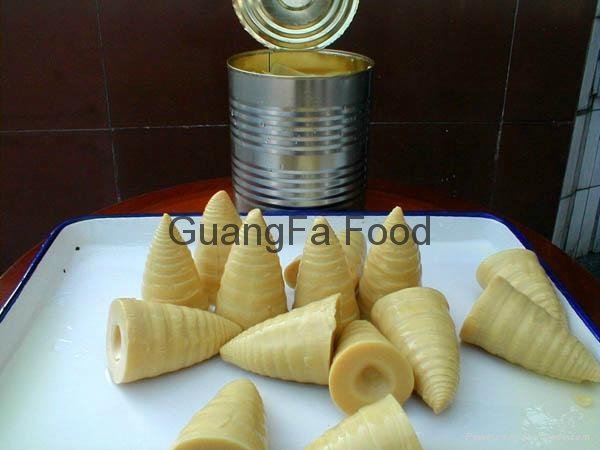canned bamboo shoot 3