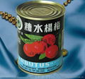 Canned Arbutus 2