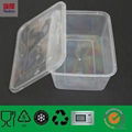 650ml Biodegradable PP for Plastic