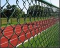 Football wire mesh fence 4