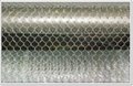 Hexagonal Wire Mesh Netting For Chicken Poultry Fencing