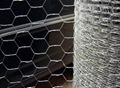 Hexagonal Wire Mesh Netting For Chicken Poultry Fencing 2