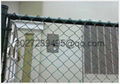 PVC coated chain link fence (diamond wire mesh)