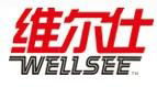 China Wellsee New Energy Industry Co., Ltd