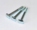 DIN 603 Carriage bolt 1