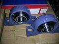 Best china supplier PILLOW BLOCK BEARING RAE12-NPP-B RAE12-NPP-FA106 1