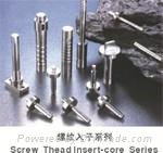 non standard series mold insert core screw