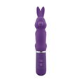 10 functions rabbit vibrator adult sex toys