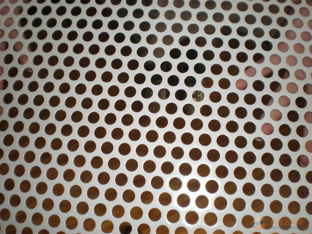 不鏽鋼圓孔板網 3