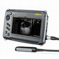 Maximum bovine pregnancy diagnosis S6 portable ultrasound scanner