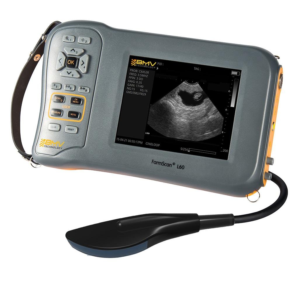 Pig Cow pregnancy test Handheld Ultrasound Scanner Systems 3
