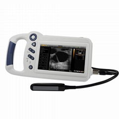 L80 Compact Touch Veterinary Ultrasound physiotherapy machine price	